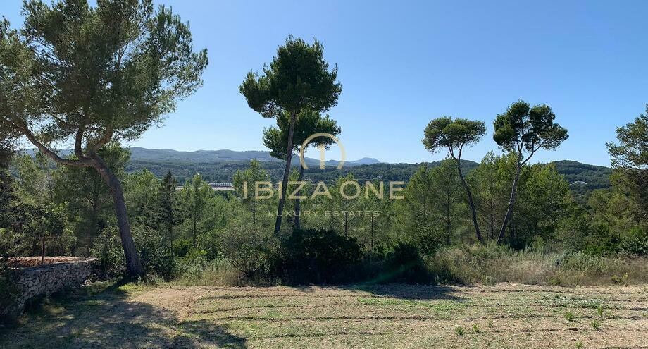 Photos of the property