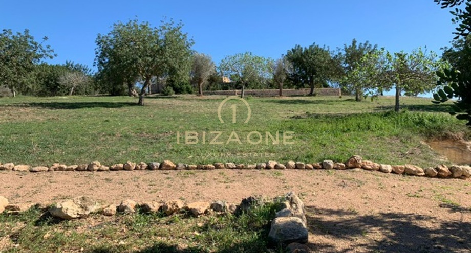 Photos of the property