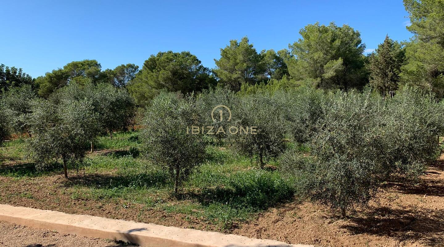 Progetto di lusso Rolf Blakstad in vendita su un bellissimo terreno con vista su Ibiza, Ibiza