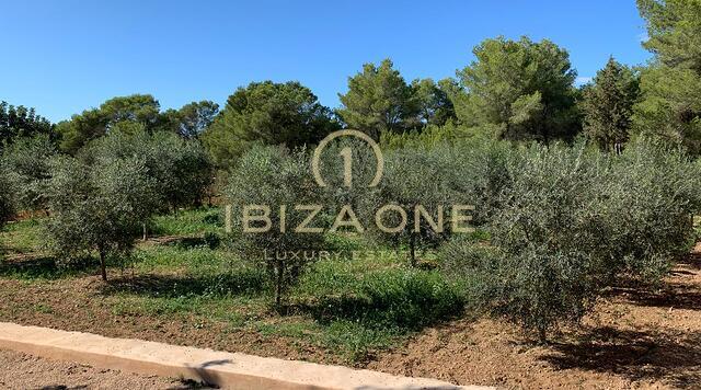 Projet de luxe Rolf Blakstad à vendre sur un magnifique terrain avec vue sur Ibiza, Ibiza
