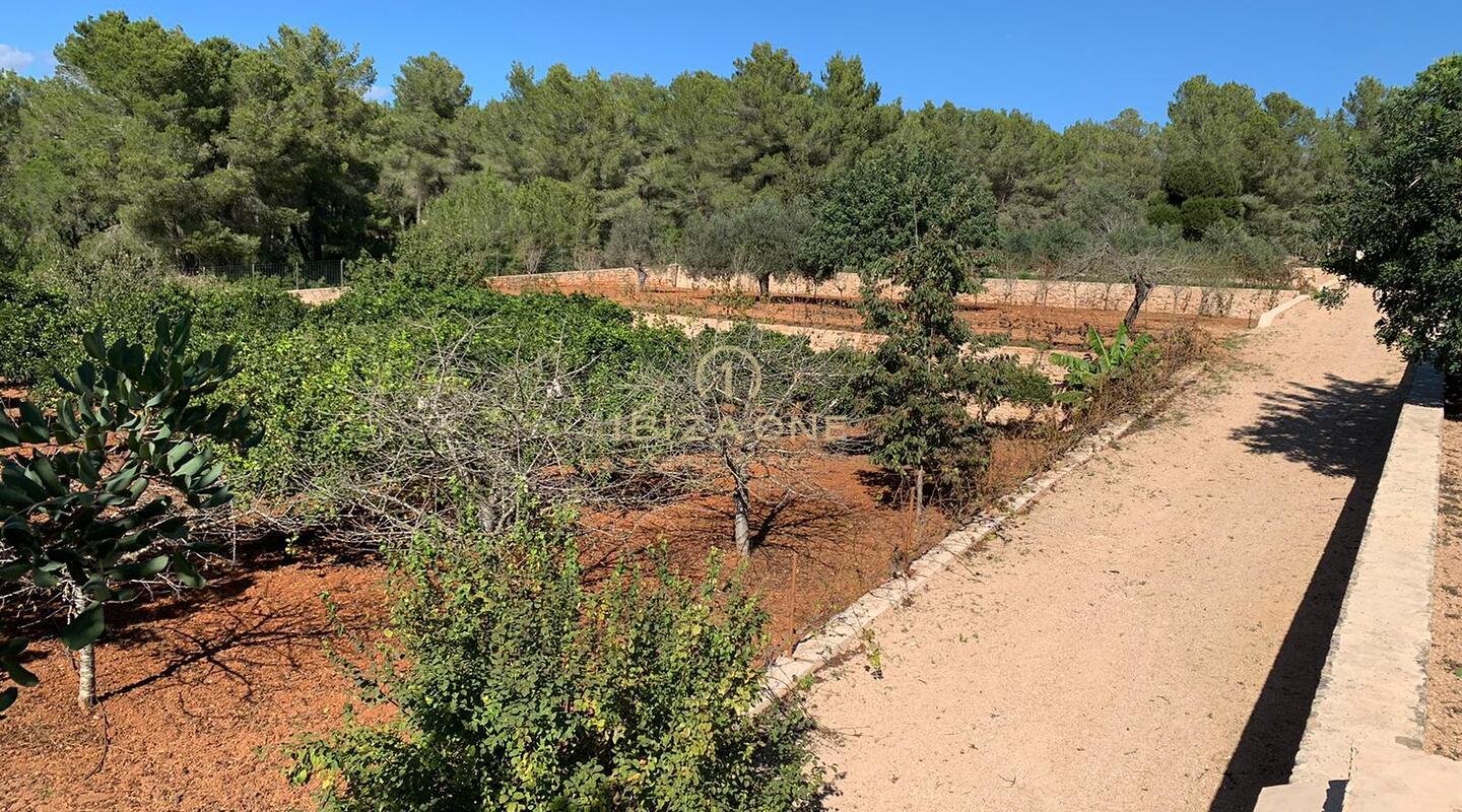 Proyecto de lujo de Rolf Blakstad en venta en una hermosa parcela con vistas a Ibiza, Ibiza