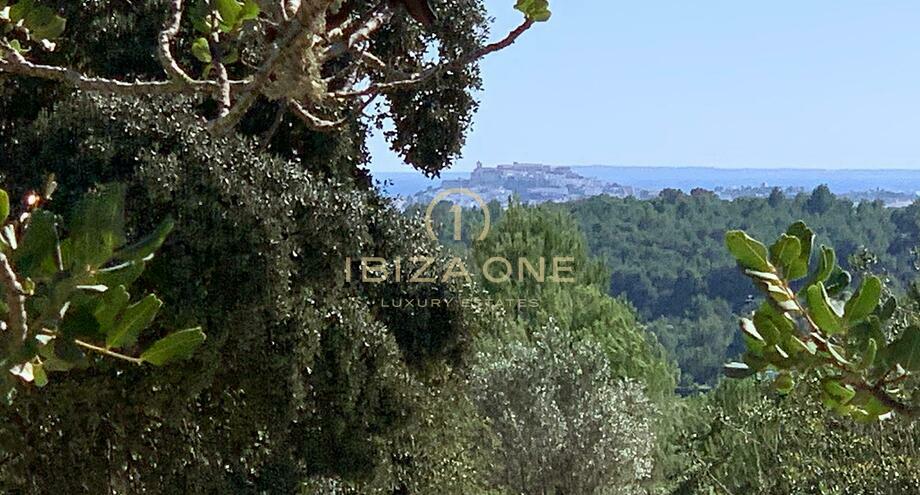 Foto van het vastgoed