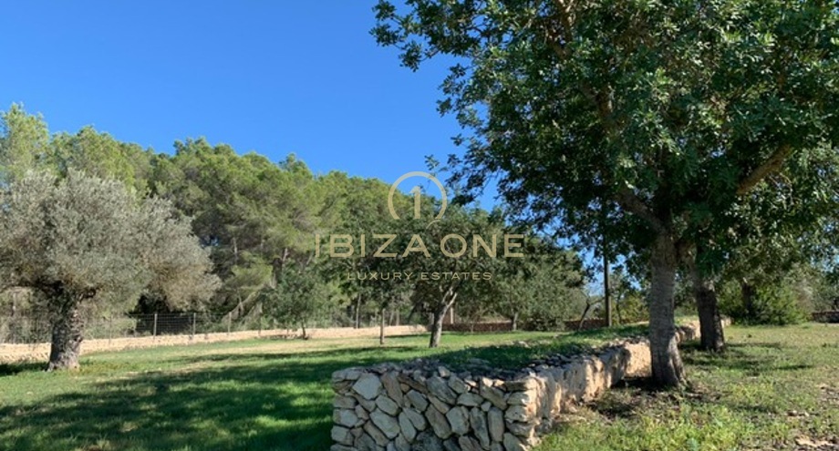 Photos of the property