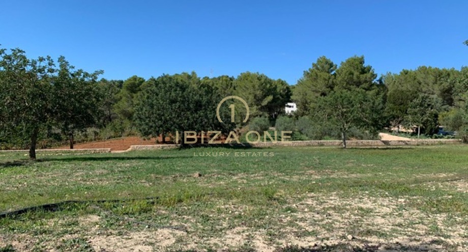 Photos of the property