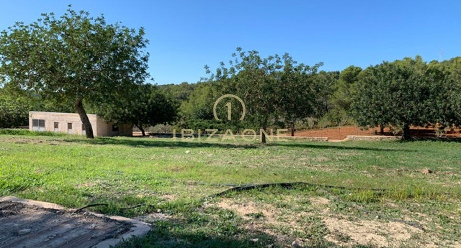 Photos of the property