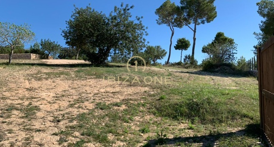 Photos of the property