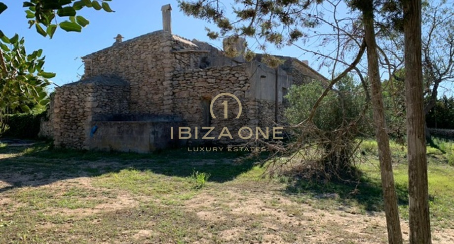 Photos of the property