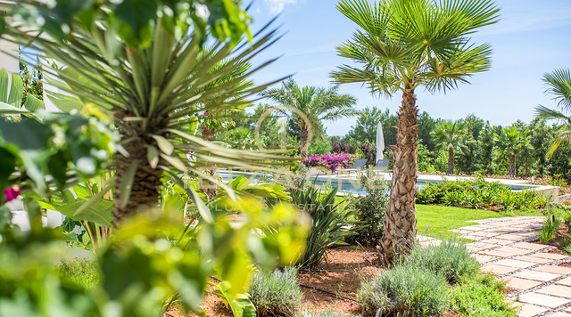 Preciosa finca de lujo de nueva construcción en venta, Ibiza - Preciosa finca de lujo de nueva construcción en alquiler, Ibiza
