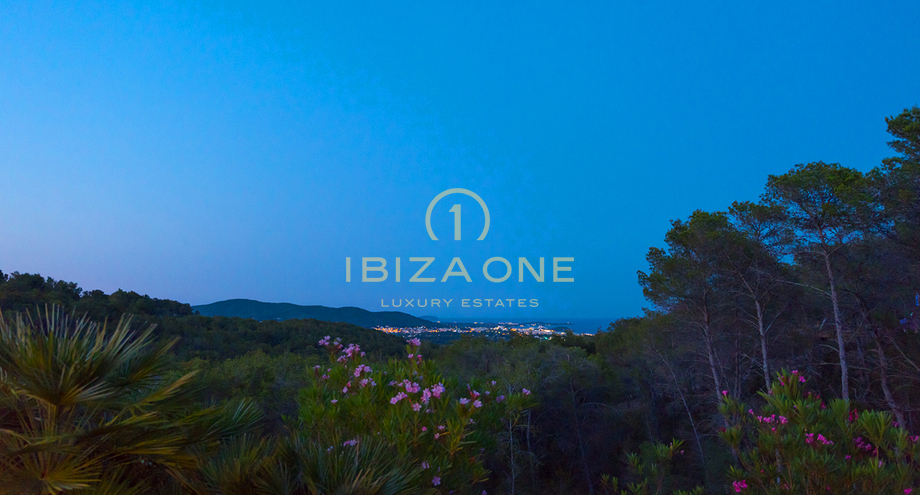 Foto van het vastgoed