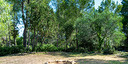 Photos of the property