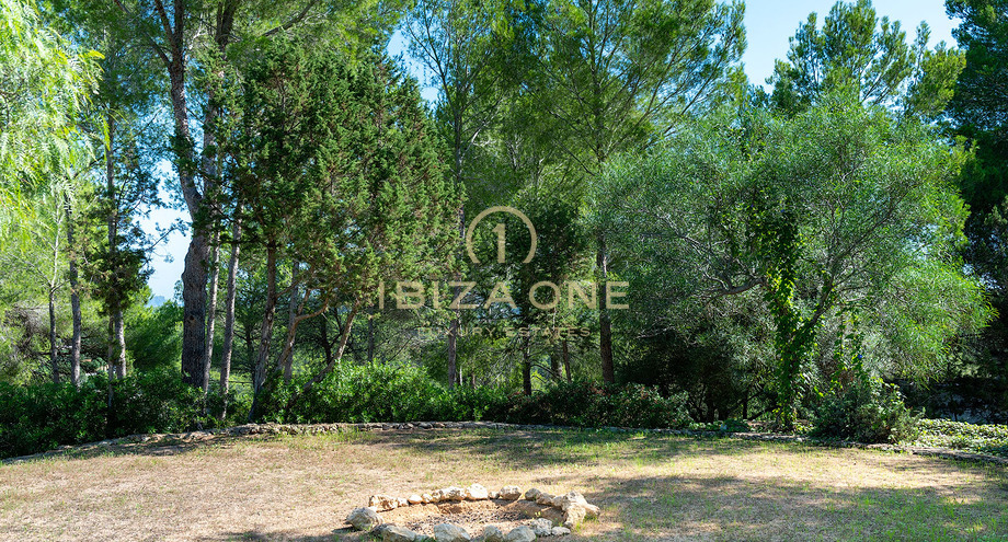 Photos of the property