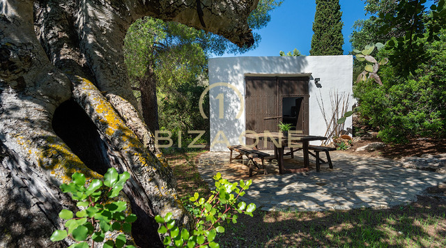 Finca authentiquement belle et luxueuse avec deux maisons d'hôtes à vendre, Ibiza - Finca authentiquement belle et luxueuse avec deux maisons d'hôtes à louer, Ibiza