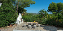 Foto dell'oggetto