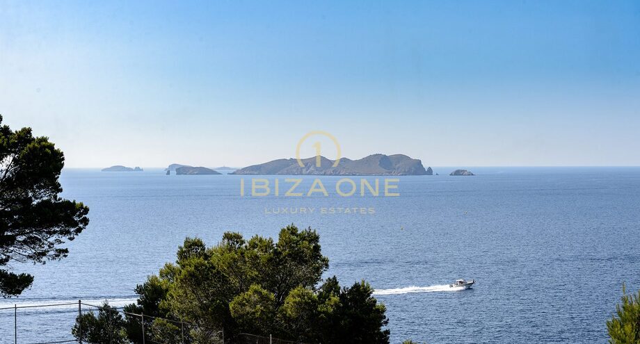 Photos of the property