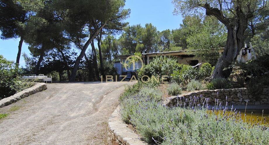 Photos of the property