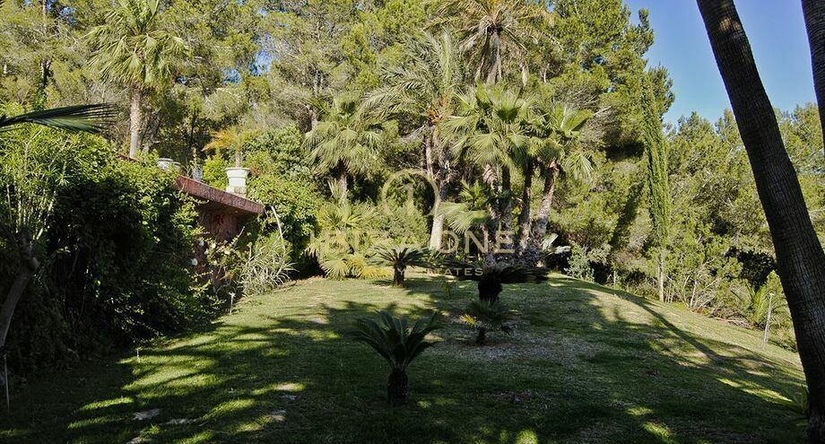 Photos of the property