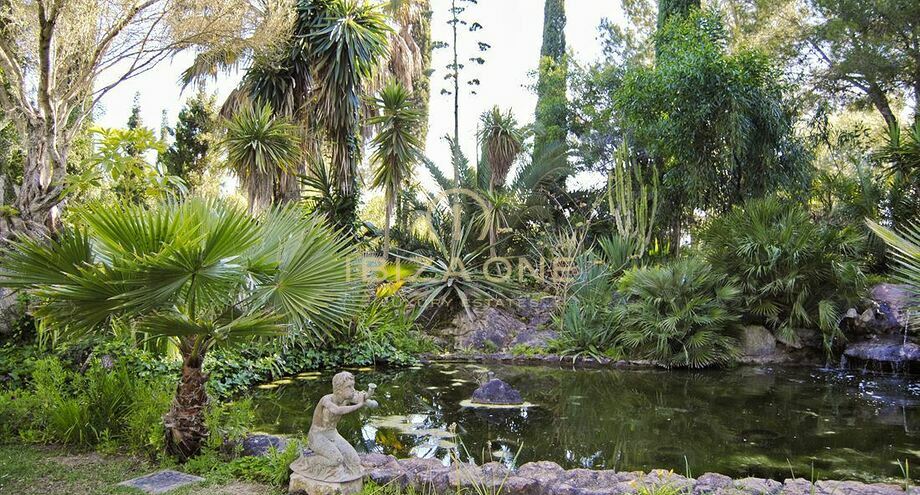 Photos of the property