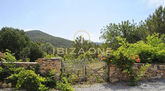 Original luxury Ibiza finca with touristic rental license for sale, Ibiza - Original luxury Ibiza finca with touristic rental license for rent, Ibiza