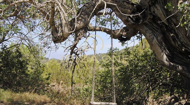 Finca de luxe originale à Ibiza avec licence de location touristique à vendre, Ibiza - Finca de luxe originale à Ibiza avec licence de location touristique à louer, Ibiza