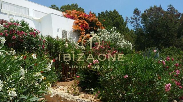 Modern property with views of the Ibiza salt flats and the sea for sale, Ibiza - Modern property with views of the Ibiza salt flats and the sea for rent, Ibiza