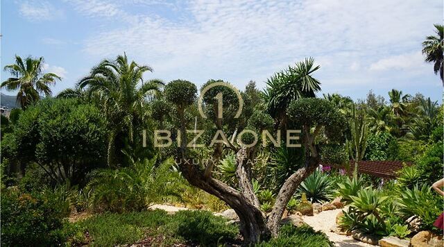 Belle propriété de luxe avec jardin tropical et vue sur Dalt Vila à vendre, Ibiza - Belle propriété de luxe avec jardin tropical et vue sur Dalt Vila à louer, Ibiza