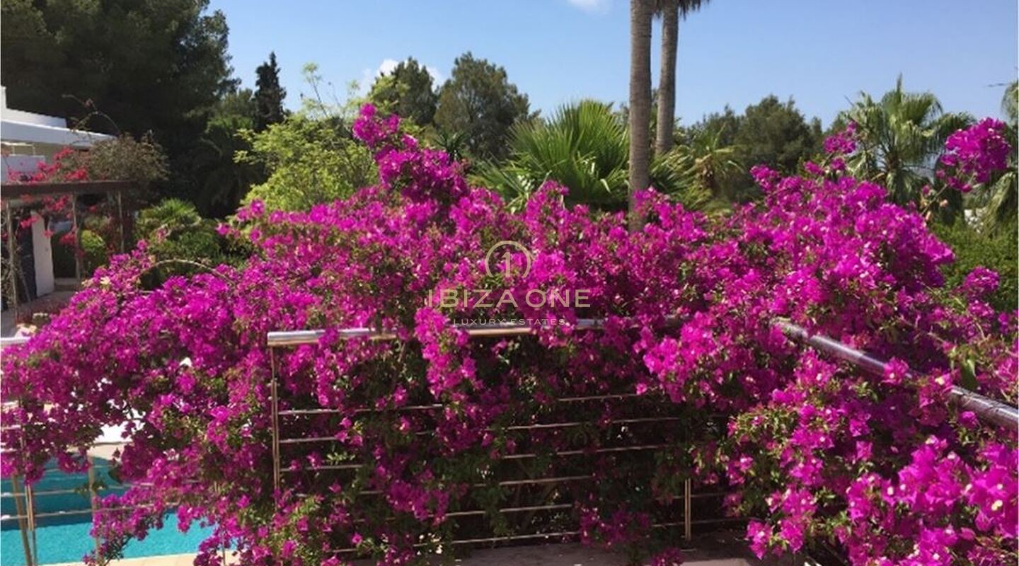Wunderschönes Luxusanwesen mit tropischem Garten und Blick auf Dalt Vila zu verkaufen, Ibiza - Wunderschönes Luxusanwesen mit tropischem Garten und Blick auf Dalt Vila zu vermieten, Ibiza