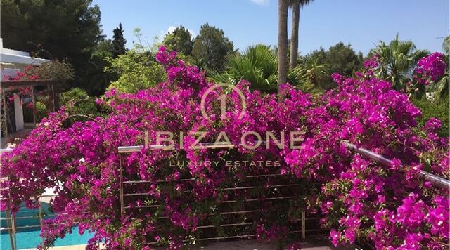 Belle propriété de luxe avec jardin tropical et vue sur Dalt Vila à vendre, Ibiza - Belle propriété de luxe avec jardin tropical et vue sur Dalt Vila à louer, Ibiza