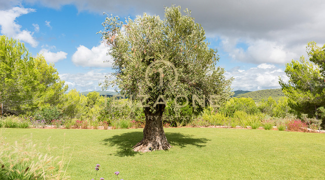 Gran propiedad de lujo cerca de Ibiza con vistas al campo en venta