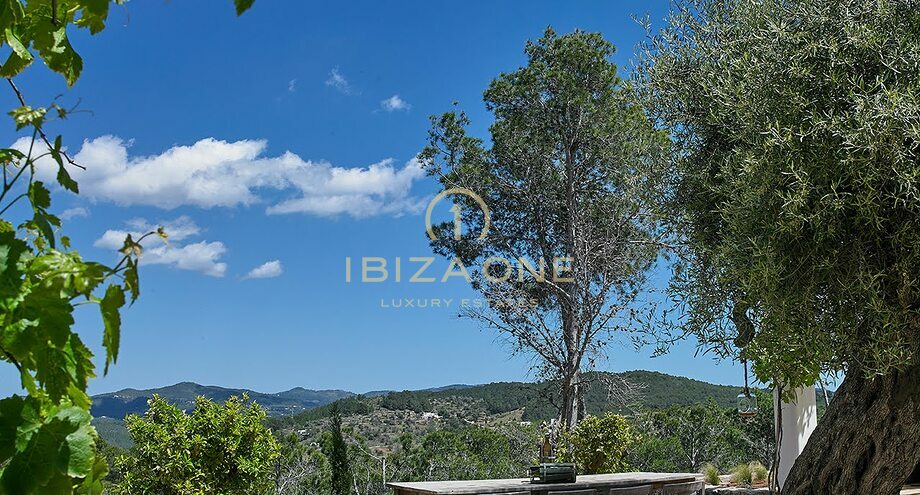 Photos of the property