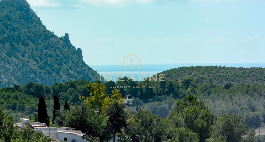 Foto dell'oggetto