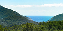 Foto dell'oggetto