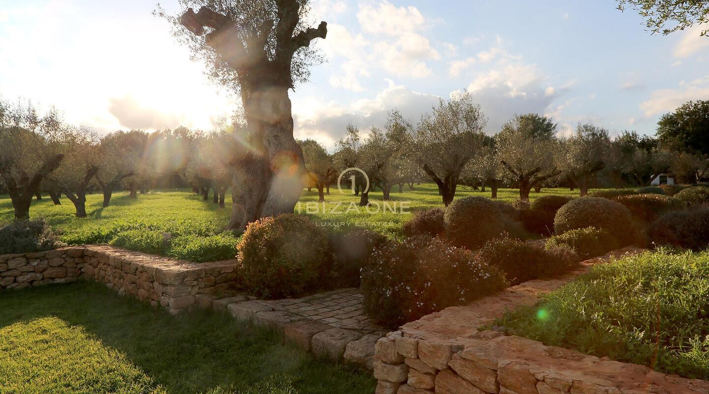 Wunderschönes Luxus-Finca-Anwesen mit separatem Gästehaus zu verkaufen, Ibiza - Wunderschönes Luxus-Finca-Anwesen mit separatem Gästehaus zu vermieten, Ibiza