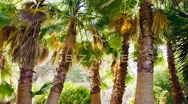 Propriété de luxe avec vue sur la mer, licence touristique et joli jardin à vendre, Ibiza - Propriété de luxe avec vue sur la mer, licence touristique et joli jardin à louer, Ibiza