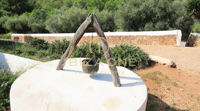 Spacious luxury property with sea views, 350 olive trees, guest apartment for sale, Ibiza - Spacious luxury property with sea views, 350 olive trees, guest apartment for rent, Ibiza