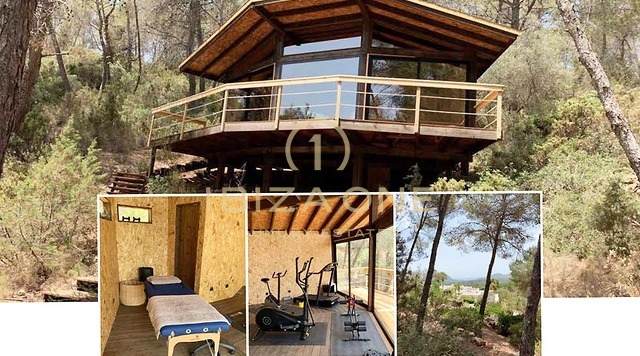 Spacious luxury property with sea views, 350 olive trees, guest apartment for sale, Ibiza - Spacious luxury property with sea views, 350 olive trees, guest apartment for rent, Ibiza