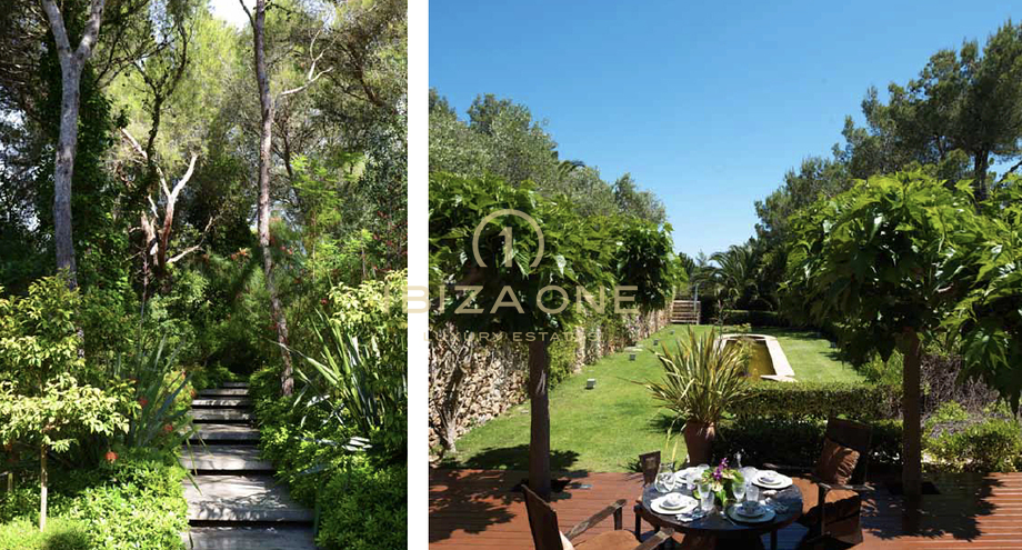 Photos of the property