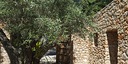 Foto dell'oggetto