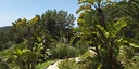 Foto dell'oggetto