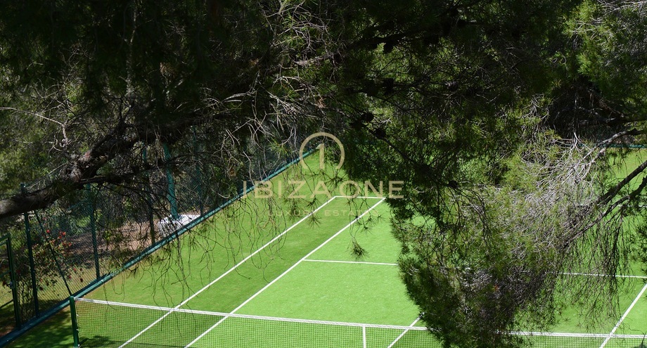 Photos of the property