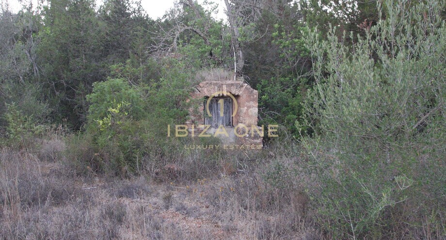 Photos of the property