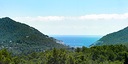Foto dell'oggetto