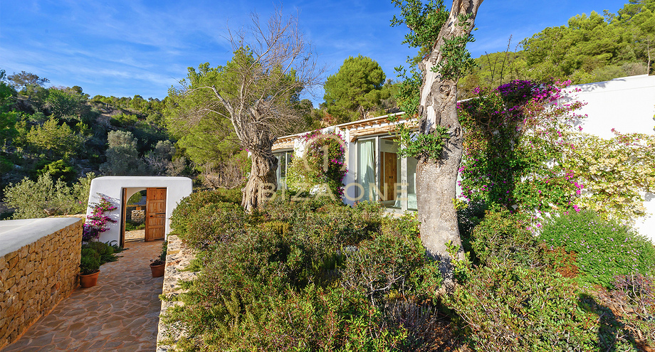 Photos of the property