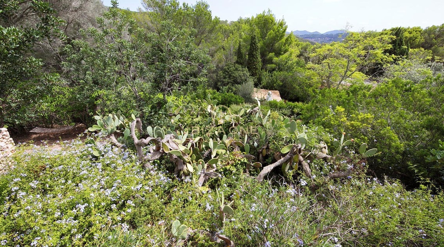 Auténtica finca de lujo ibicenca con preciosas vistas al mar y al terreno en venta, Ibiza