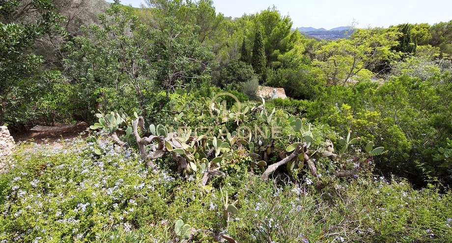 Photos of the property