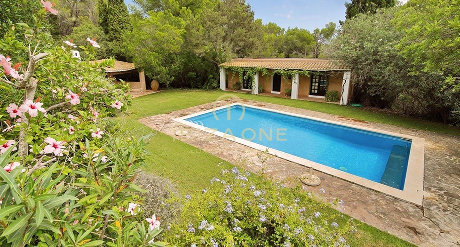 Photos of the property