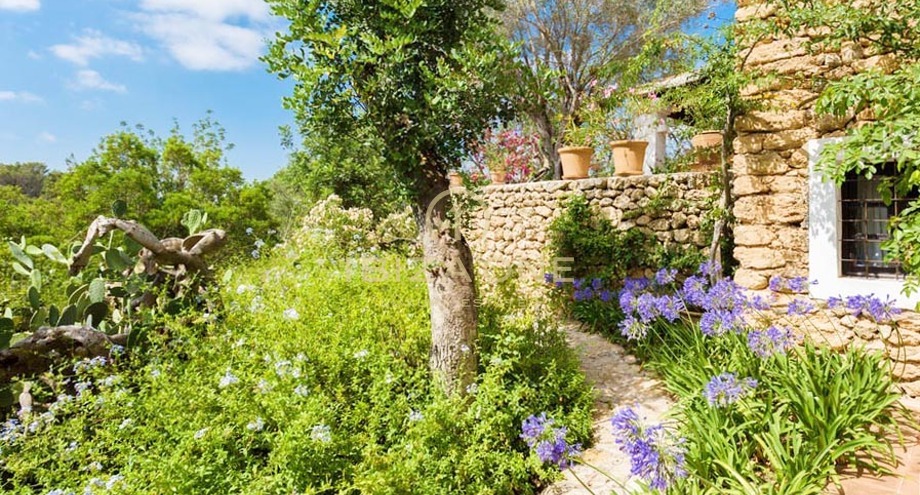 Photos of the property