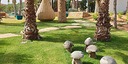 صور العرض