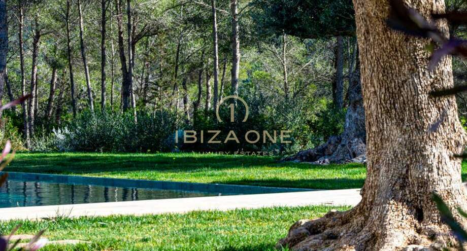 Photos of the property