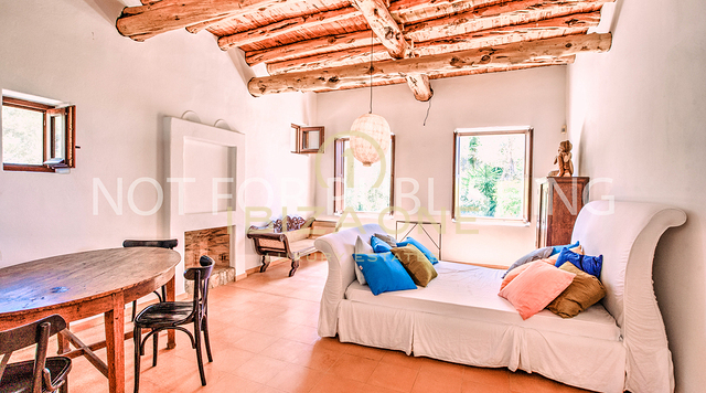 Fantastique propriété de luxe avec une maison principale et une maison d'hôtes séparée à vendre, Ibiza - maison de luxe à louer, Iibza