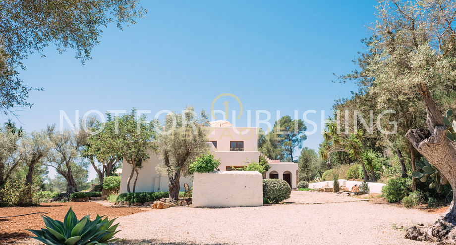 Photos of the property